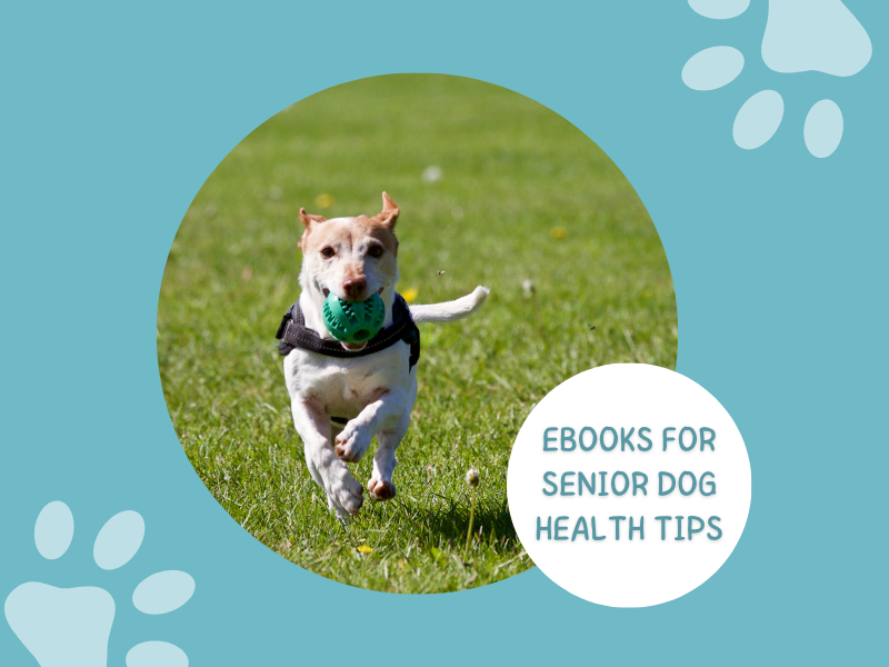Books for senior dog health tips