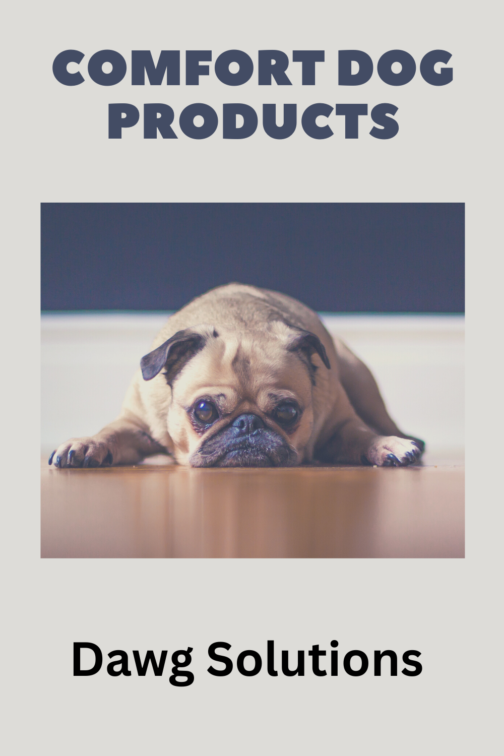 learn how comfort dog products help anxiety